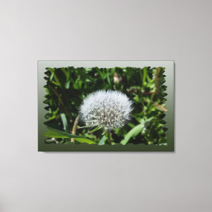 Toile Dandelion dans l'herbe