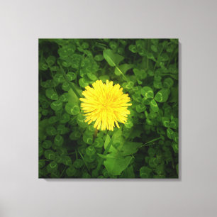 Toile Dandelion Enveloppée
