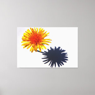 Toile Dandelion et ombre 60x40 (150x100cm) waccn