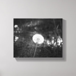Toile Dandelion noir et blanc dans les Bois 8x10