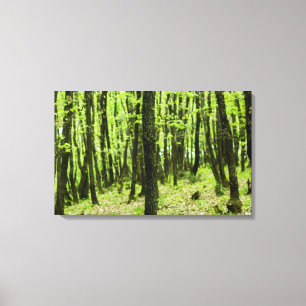 Toile Dans le bois