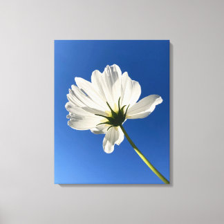 Toile d'art de fleurs sauvages blanches
