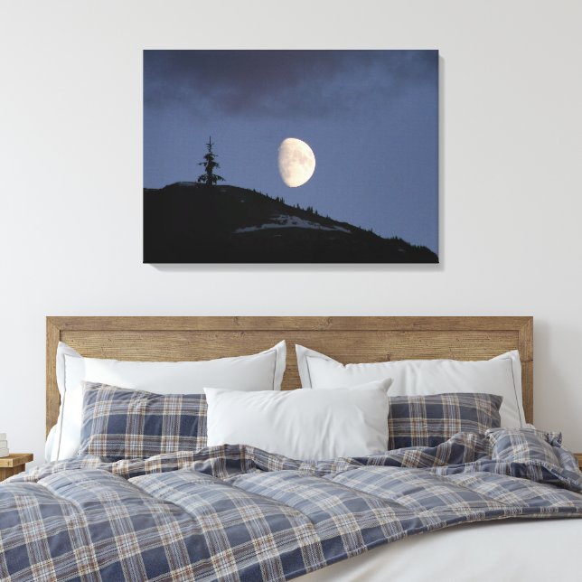 Toile d'artiste étirée - Compagnon Solitaire (Insitu(Chambre))