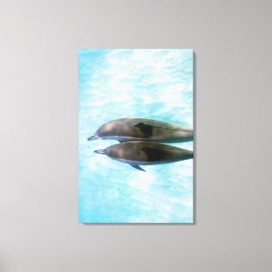 Toile Dauphins de fileur   Oahu Hawaï