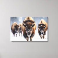 Toile de bison de Yellowstone