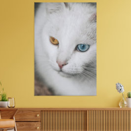 Toile de chat Imprimer Image 20