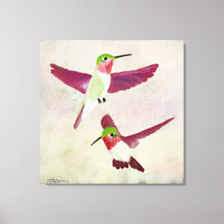 Toile de colibri