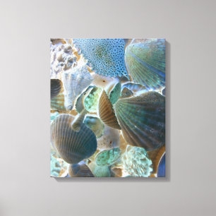 Toile de coquillages de mer