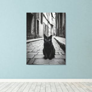 Toile de fond d'art murale de l'allée du chat noir