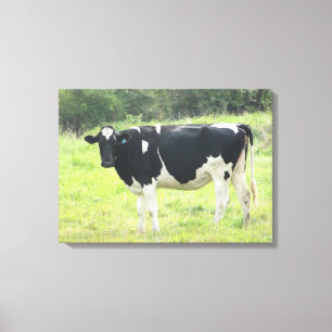 Toile de fond de photo de vache laitière mignonne