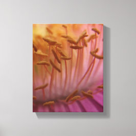 Toile de pollen rose