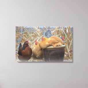 Toile de poulet enrobée