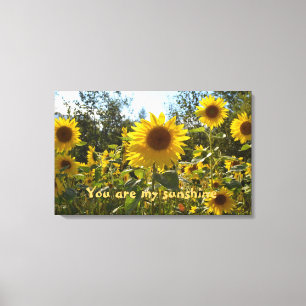 Toile de tournesol