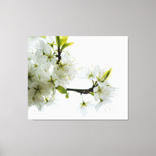 Toile Décor à fleurs 89