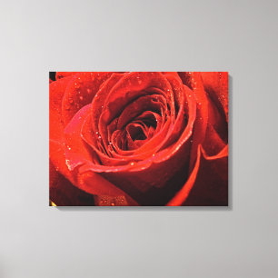 Toile Décor rose rouge humide