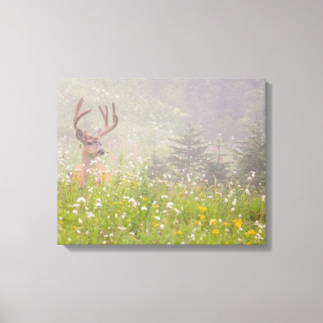 Toile Deer Buck | Parc national du Mont Rainier (Recto)