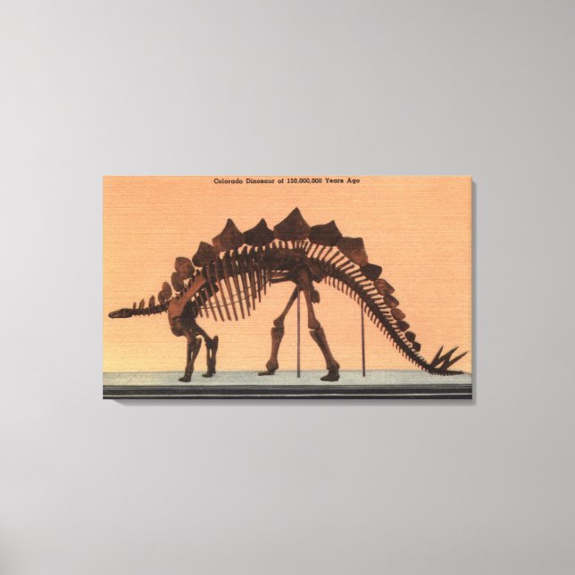 Toile Denver, Colorado - Musée d'histoire naturelle (Recto)