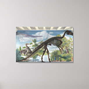 Toile Denver, Colorado - Musée d'histoire naturelle 2