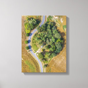 Toile Des arbres verts entre deux routes