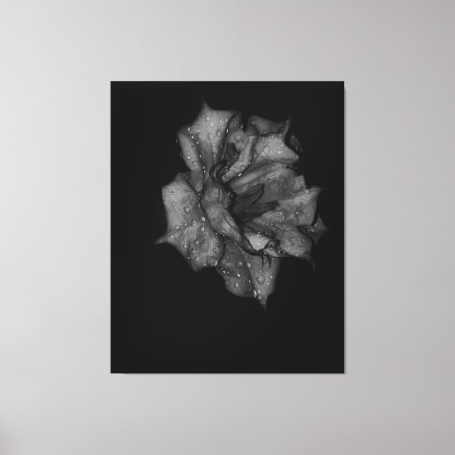 Toile Des pétales baisés à la mâchoire dans l'obscurité (Recto)