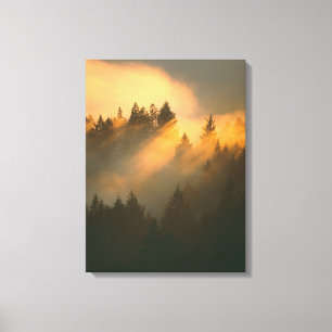 Toile Des séquoias dans le brouillard côtier, comté d