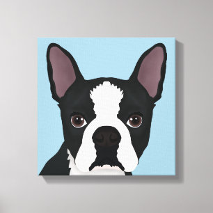 Toile dessin animé de boston terrier
