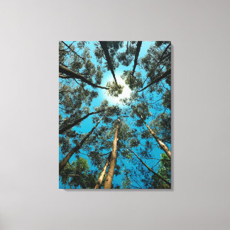 Toile dessin de canava