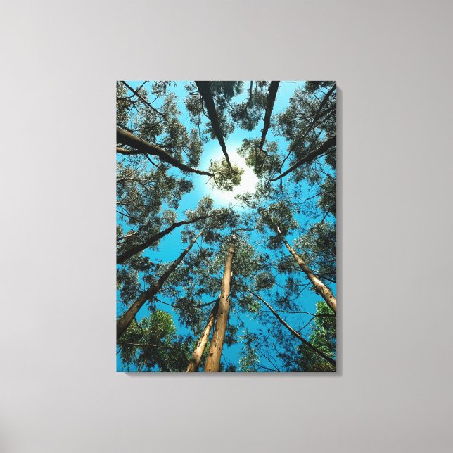 Toile dessin de canava (Recto)