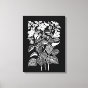 Toile Dessin de charbon de bois des fleurs italiennes d'