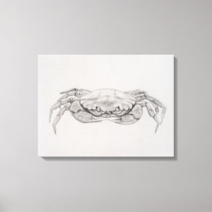 Toile Dessin du crabe côtier