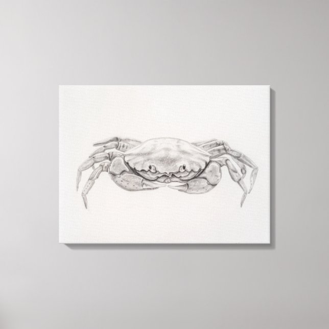 Toile Dessin du crabe côtier (Recto)