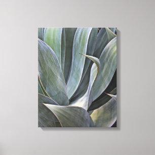 Toile Détail fané de Succulant, 2017