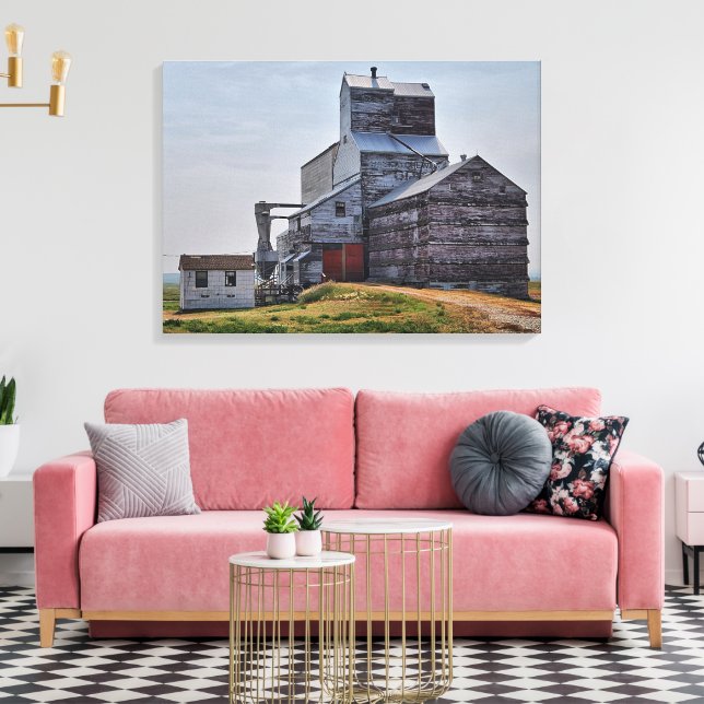 Toile d'étirement de l'ascenseur à grains McCord I (Insitu(Salon))