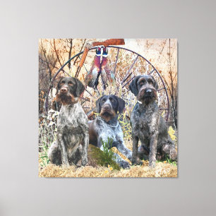 Toile Deutsch Drahthaar