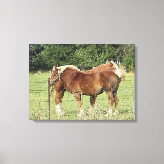 Toile Deux Beaux Chevaux d'Ambre à côté d'un Pho Fermier (Recto)