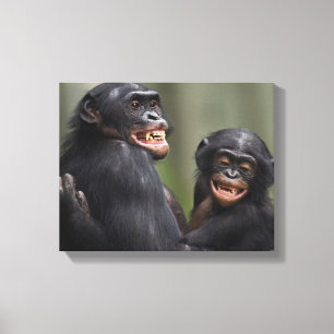 Toile Deux bonobos souriants