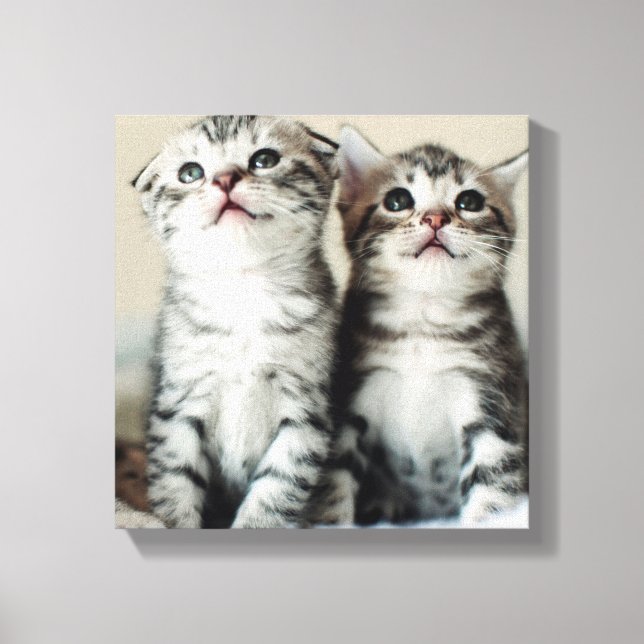 Toile Deux chatons mignons (Recto)