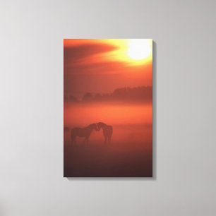 Toile Deux chevaux au coucher du soleil