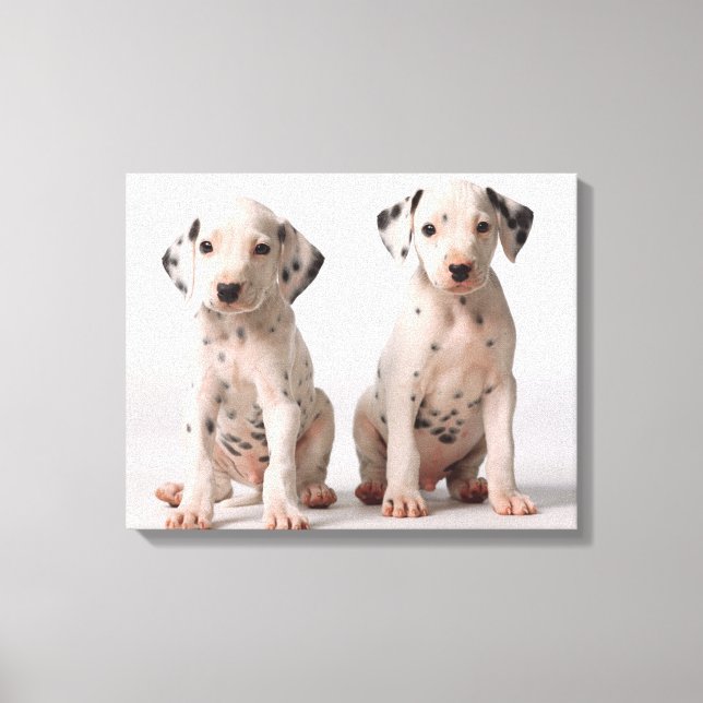 Toile Deux Petites Marionnettes Dalmatiennes Noires Et B (Recto)