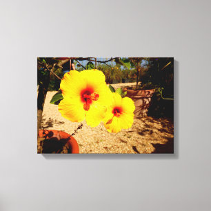 Toile d'Hibiscus jaune Imprimer