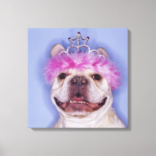 Toile Diadème de port de bouledogue