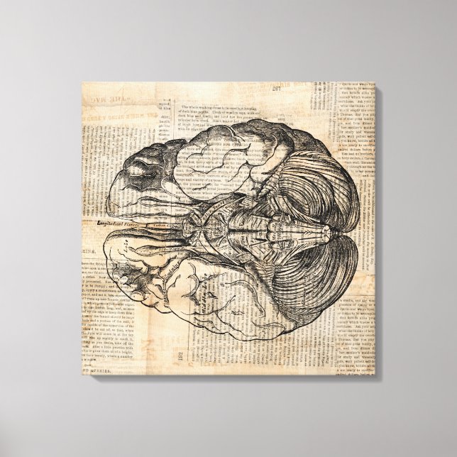 Toile Diagramme de cerveau antique Art ancien (Recto)