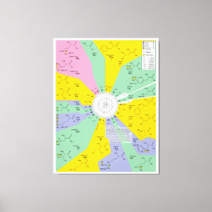 Toile Diagramme de code génétique montrant des résidu