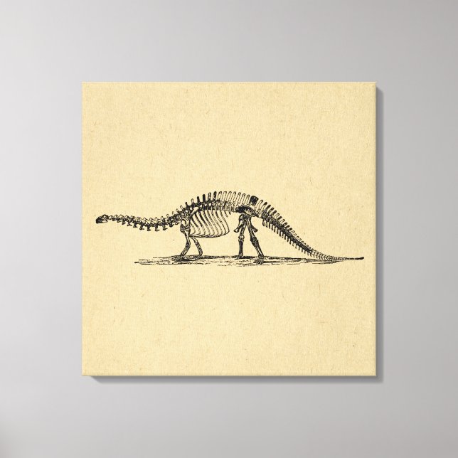 Toile Dinosaur Skeleton Art Vintage (Recto)