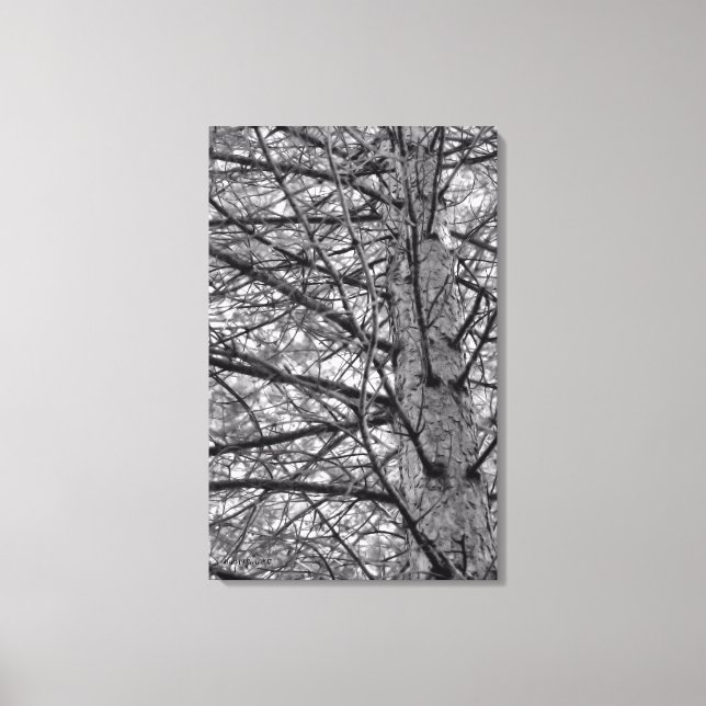 Toile Direction des pins (Recto)