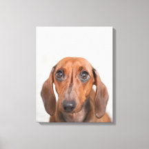 do-it-yourself Canvas Wall Art - Téléchargez votre