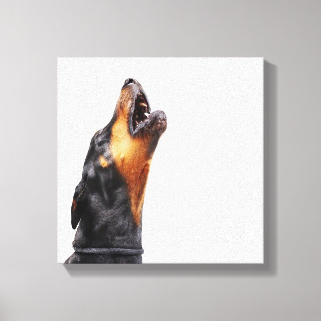 Toile Doberman hurle (Recto)