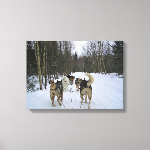 Toile Dog Sledding à Québec, Canada