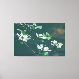 Toile Dogwoods du Pacifique
