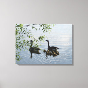 Toile d'oies sauvages